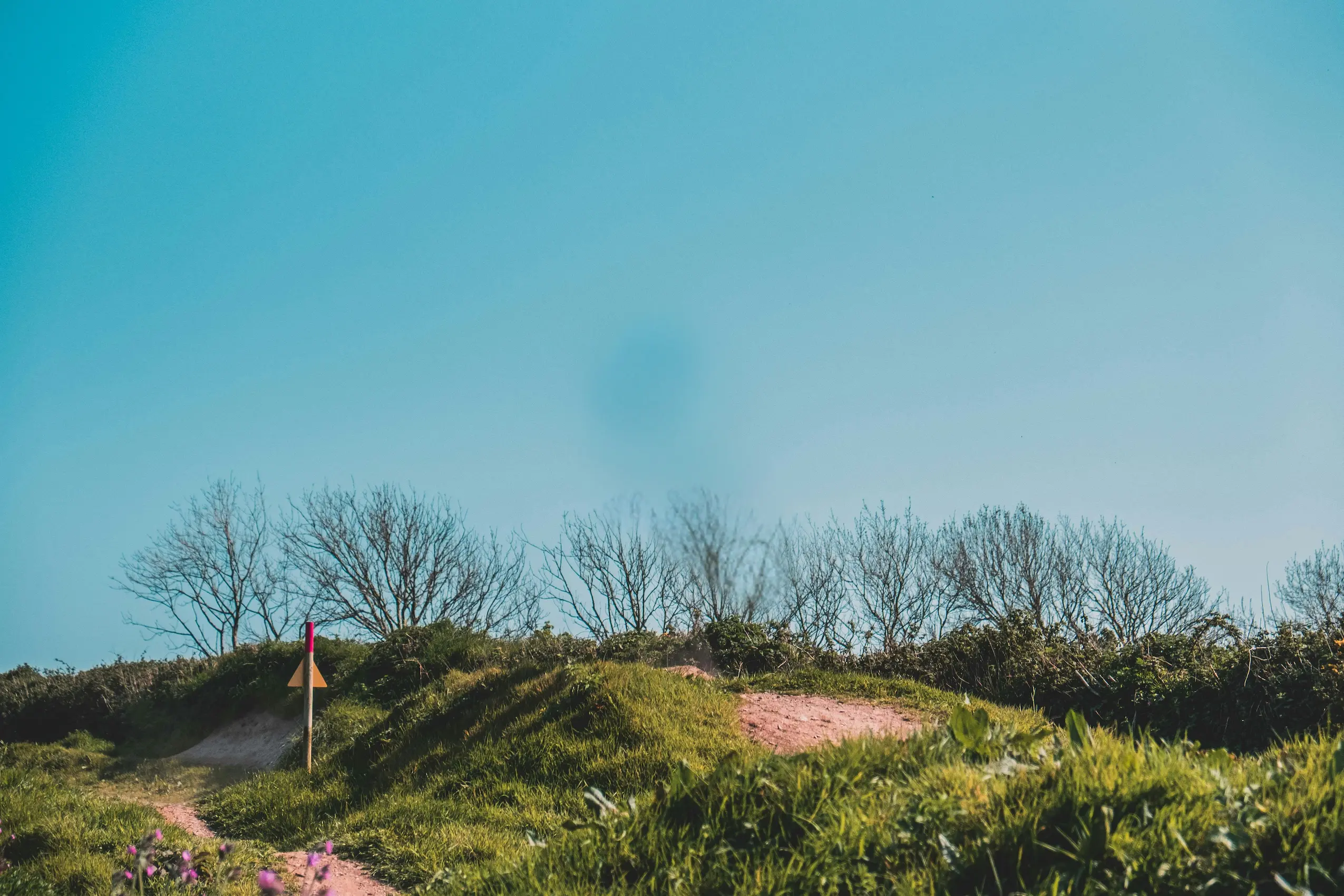 Trail Background